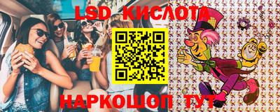 эйфоретик Гатчина