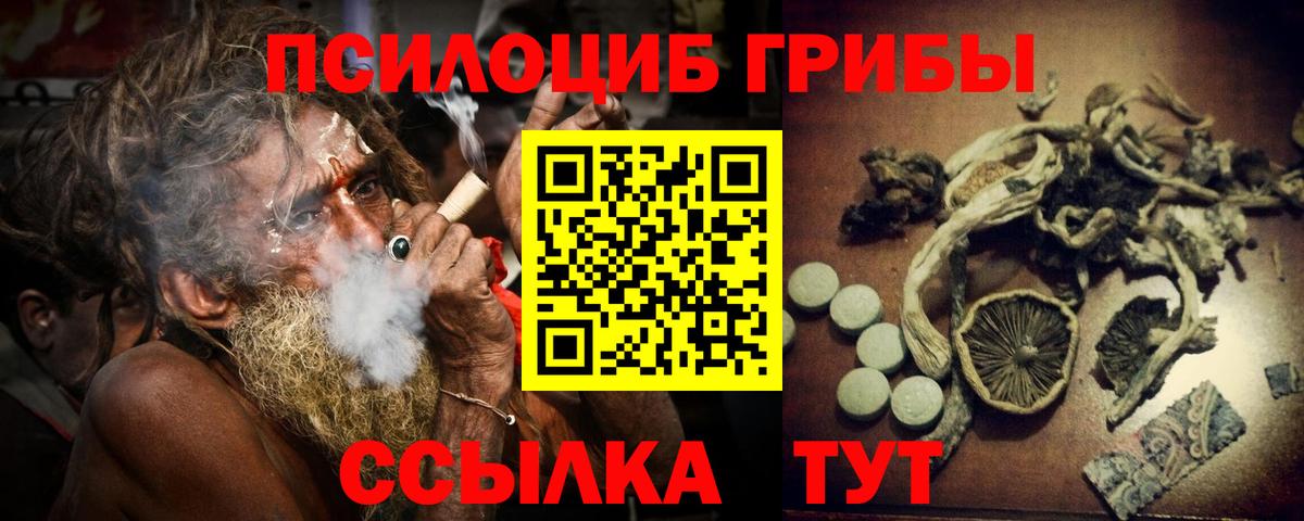 Буйнакск  Псилоцибиновые грибы MAGIC MUSHROOMS  Вход с VPN 