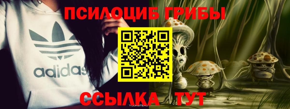 Псилоцибиновые грибы ЛСД Буйнакск